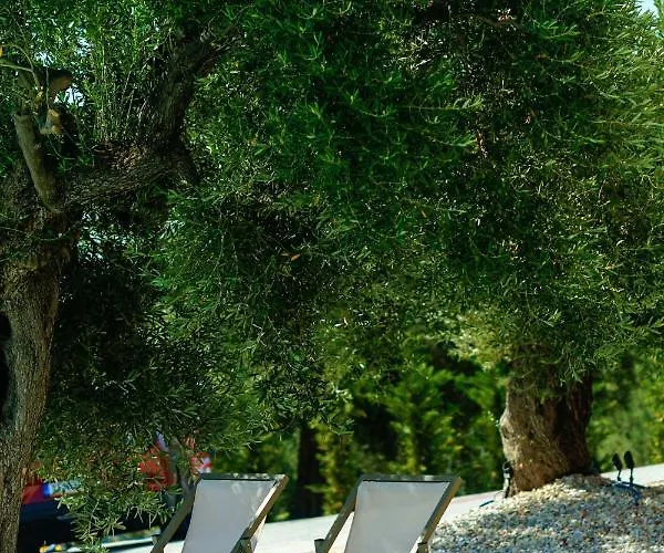 Casa Panorama Adults Only Bed & Breakfast